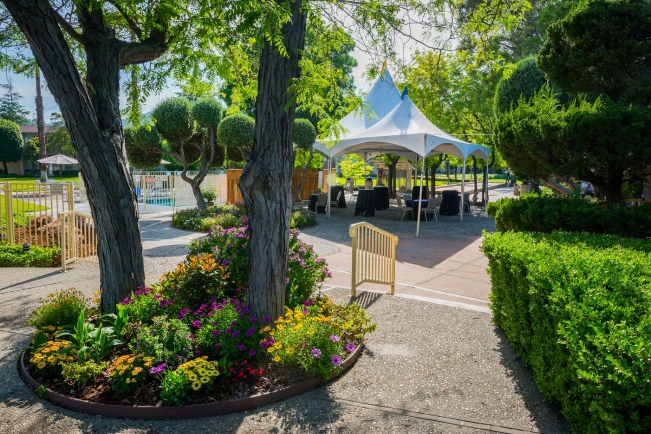 Los Gatos Lodge Экстерьер фото